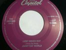 Jimmy eat world Lucky Denver mint / Clarity  45rpm record 7