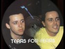 Tears for Fears -  limited edition, interview picture disc - very collectable