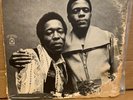 Play the Blues by Junior Wells/Buddy Guy (Vinyl, 1972 Music on Vinyl)