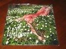 LIFELOVER 