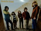 GRATEFUL DEAD BIRTH OF THE DEAD, VOL. 2: THE LIVE SIDES NEW VINYL RECORD EUC