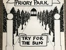 Priory Park ?Try For The Sun POKORA 4* Wild Dog 1978 NM Psych folk Private Press