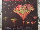 Astralasia - Pitched Up At The Edge Of Reality Vinyl LP + 12