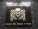 Destructors - Exercise The Demons Of Youth - Vinyl Album *Punk*