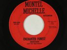 C&W 45 - Mohawk & The Red Necks - Enchanted Forest - Montel Michelle - mp3