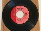The Rays / Magic Moon & Louie Hoo Hoo / 1961 XYZ 45 / ST. VG++