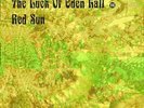 PSYCHEDELIC BATTLES VOLUME 4 - The Luck Of Eden Hall Vs Red Sun - LP (colour) VI