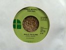 FRANKIE BEVERLY’S RAW SOUL While I’m Alone * Gregar 45 Northern Soul Funk VG++