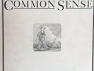 John Prine Common Sense On Vinyl
