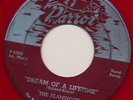 FLAMINGOS RED VINYL. Dream of a Lifetime/On Merry Way.'54 PARROT doo wop 45. MP3