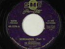 Rockabilly Surf Inst. 45 - Metropolitans - Screaming - SMC Pro-Arte - mp3