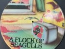 A Flock Of Seaguls Picture Disc Record LP Vinyl Record Album Jive 1982 read