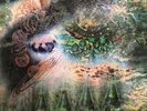 pink floyd a saucerful of secrets vinyl