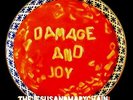 The Jesus And Mary Chain - Damage and Joy - ID23z