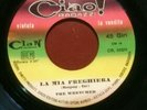 RARO 45 GIRI -THE WRETCHED -COME UNA PIETRA CHE ROTOLA -LA MIA PREGHIERA(179)