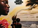 Miles Davis ?– Bitches Brew 2 × Vinyl, LP, Album, Reissue, 180 Gram, Gatefold