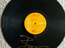 Vinyl 12