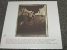 THE PIXIES - SURFER ROSA - NEW LP RECORD