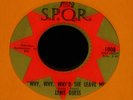 Lenis Guess-Why, Why, Why'd She Leave Me -ORIGINAL 1971 US Soul 45-HEAR