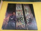 SPECIAL ED YOUNGEST IN CHARGE VINYL  LP  CF