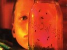 Alice In Chains - Jar Of Flies / Sap [2LP] (180 Gram Audiophile Import Vinyl, 3
