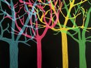 Tapes 'n Tapes ?– The Loon [12'' VINYL LP] BRAND NEW