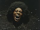 Funkadelic-Maggot Brain (Importación USA) Vinyl / 12