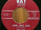 TERRI LYNN LOVE, LOVE, LOVE RARE POPCORN 45 on RAY