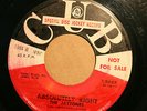 JAYTONES Doo Wop PROMO 45rpm Absolutely Right b/w My Only Love LISTEN