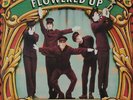 Flowered Up - A Life With Brian, LP, (Vinyl)