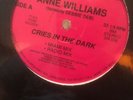 ANNE WILLIAMS 12 Inch Vinyl CRIMES IN THE DARK Debbie Deb Noel Synth pop Dance
