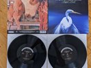 Faith No More ?– Angel Dust – 2 × Vinyl LP, Numbered, MFSL Remastered (2008)