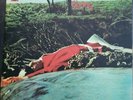 Spring 1971 UK Neon Records NE 6