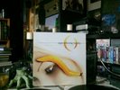 a perfect circle Thirteenth Step Double Vinyl Record