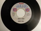 Rare Reb Rebel 45 JOHNNY REBEL Move Them N****s North & N****r N****r. VG+ grade
