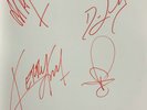 Slayer World Painted Blood Signed Test Pressing LP  and Slipmat - Hanneman