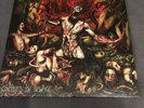 Devourment  ?– Conceived In Sewage red LP Death Metal