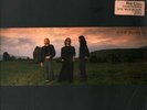 BEE GEES Esp LP VINYL 11 Track In Signed Sleeve With Inner. Sleeve Has Been Si