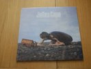LP JULIAN COPE - FRIED 12
