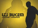 LTJ Bukem - Journey Inwards, 4x12