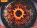 BREAKING BENJAMIN Ember LP VINYL Gatefold Sleeve - Sealed With Info Sticker On