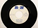 THE DEL-RAYS FORTUNE TELLER/ DIMPLES 45 R & H 1005 RARE NORTHERN SOUL MOD GARAGE