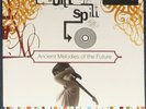 Built To Spill - Ancient Melodies Of The Future Music On Vinyl pressing.