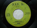 ROBIN & THREE HOODS 45 'I WANNA DO IT' USA FAN JR KILLER 1966 GARAGE PSYCH BEAT