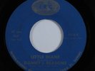 Garage Surf 45 DANNY'S REASONS Little Diane IRC VG++/VG+ HEAR