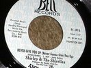 1969 PROMO Soul 45 - SHIRLEY & THE SHIRELLES 