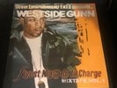 Westside Gunn - Flyest Nigga In Charge Mixtape Vol.1 LP (Blue Vinyl) (178/333)
