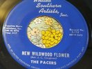 Unknown Arkansas Surf Garage Hot Rod 45 The Pacers New Wildwood Flower HEAR