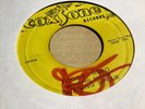 Burning Spear - Foggy Road / Foggy Version Studio One 7