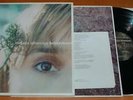 Melissa Etheridge - Breakdown - 1999 US Island Vinyl LP + 7